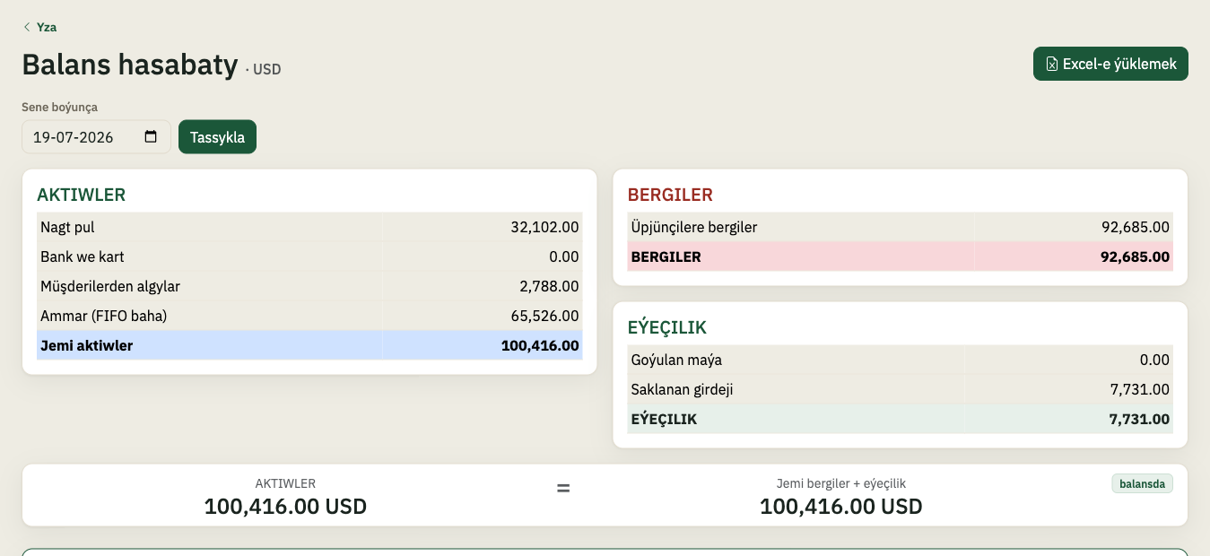 Balance sheet — assets, liabilities and equity in two currencies